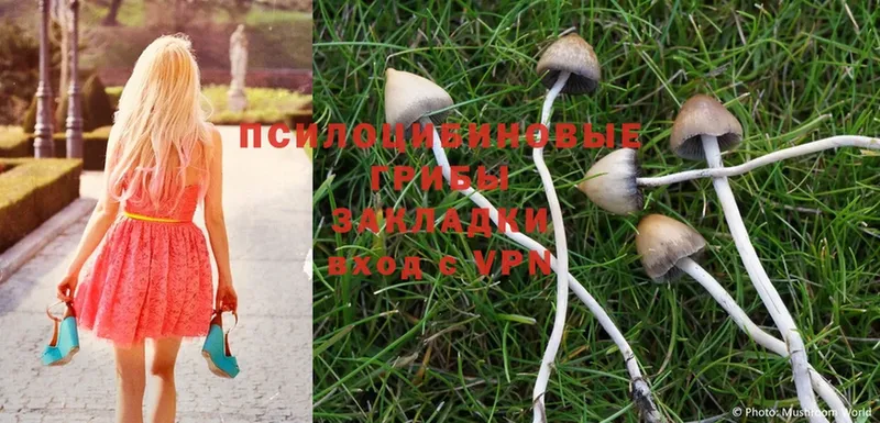 Галлюциногенные грибы MAGIC MUSHROOMS  наркотики  Ейск 